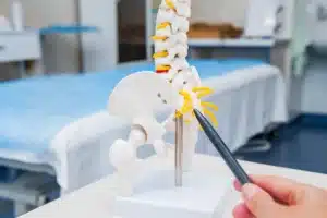 Médico em close-up apontando para um modelo de esqueleto pélvico humano em uma clínica médica.