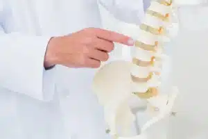 Médico apontando para a coluna vertebral anatômica em clínica